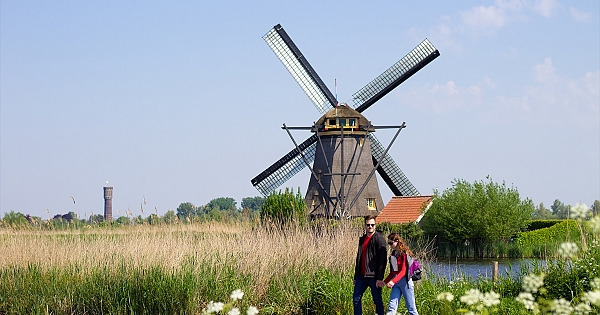 Hollanda'nın Kinderdijk köyündeki 15. yüzyıla ait 19 değirmen ziyarete açıldı