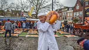 Hollanda'da yılın ilk peynir pazarı düzenlendi