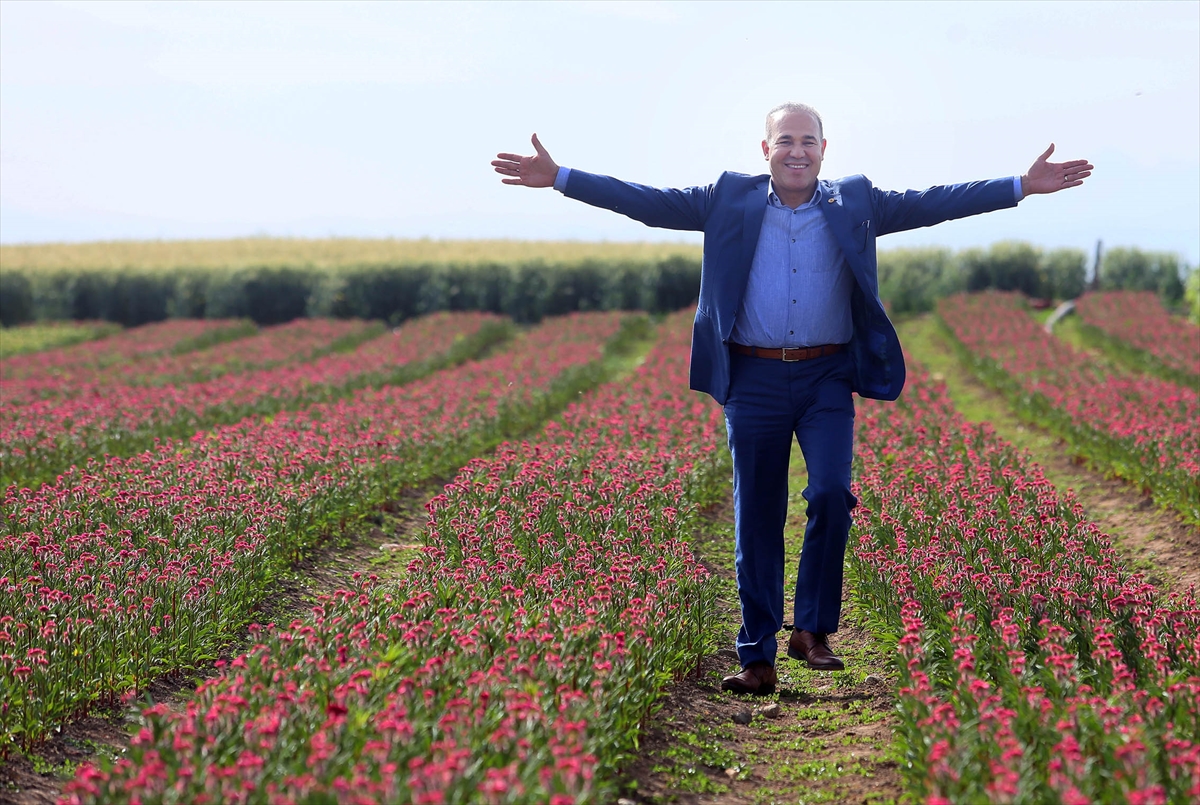 Çukurova'dan Hollanda'ya çiçek ihracatı