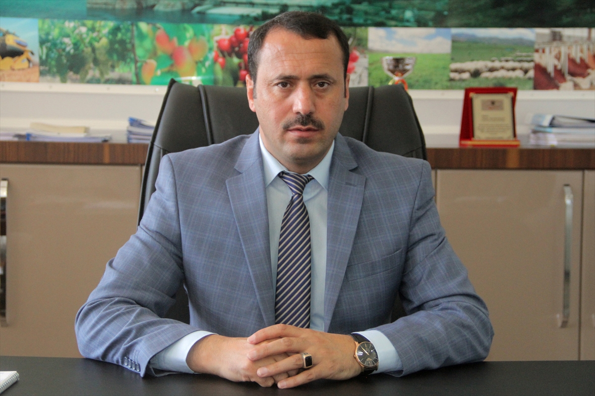 Baskil kayısısına ihracatçı ilgisi