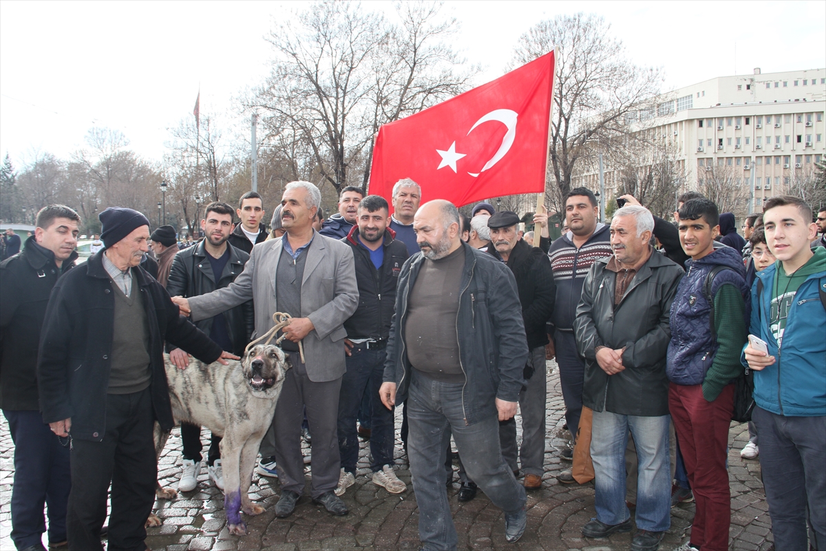 Hollanda'nın skandal tavrına tepkiler