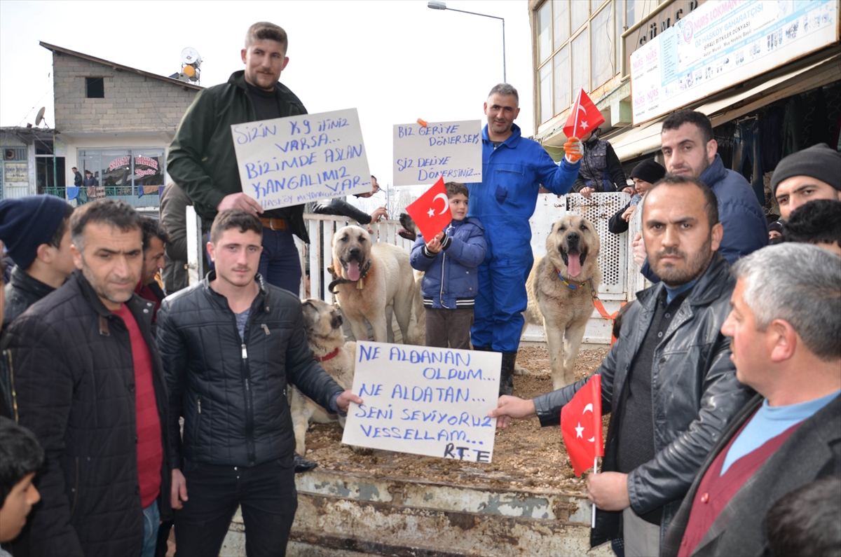Hollanda'nın skandal tavrına tepkiler
