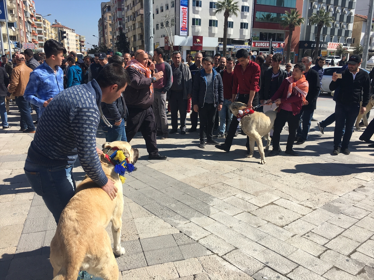 Hollanda'nın skandal kararına tepkiler