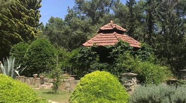Hollanda'da bağ evinin bodrumunda 'kıyameti bekleyen aile' zorla alıkonulmuş