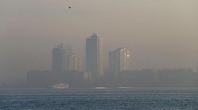 Hollanda'da onlarca insan hava kirliliğinden dolayı taşındı