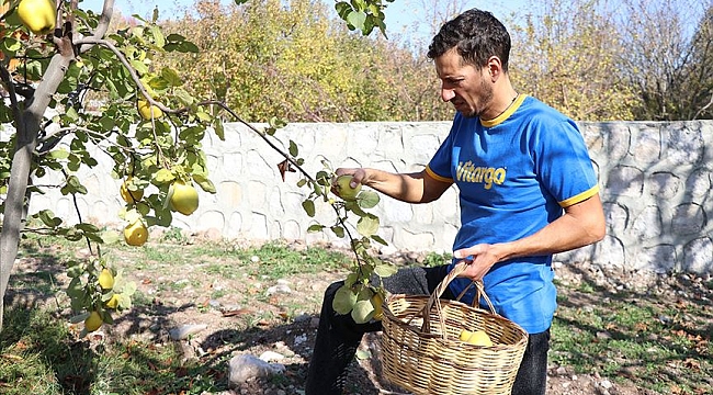 Avrupayı bırakıp köye yerleşti