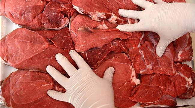 Dondurulmuş et içinde İngiltereye kokain götürülen Hollandalı yakalandı