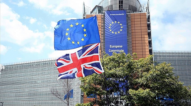 AB'de 2019'a Brexit ve AP seçimleri damga vurdu