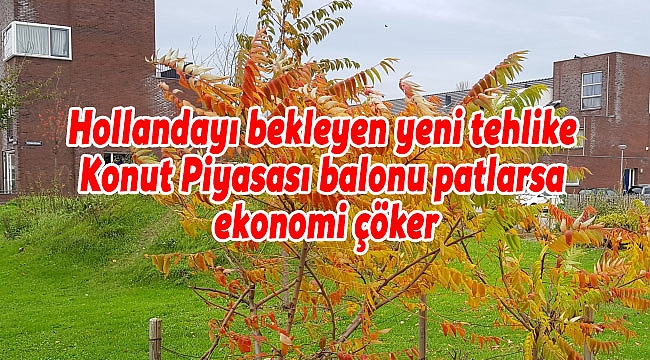 Hollandayı bekleyen yeni tehlike Konut Piyasası balonu patlarsa ekonomi çöker