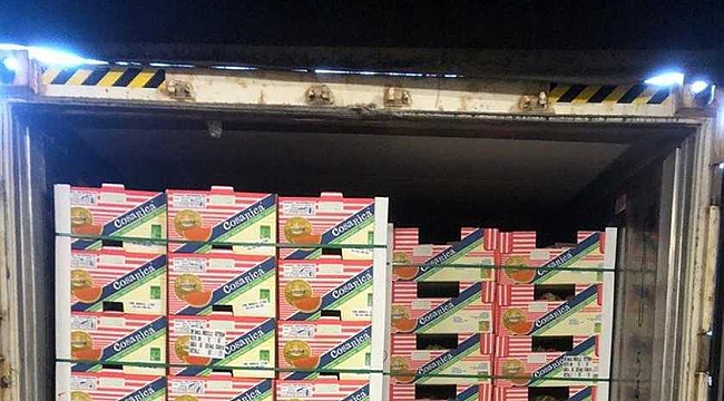 Rotterdam limanı'nda uyuşturucu operasyonı - Kavunlar arasında 330 kilo kokain