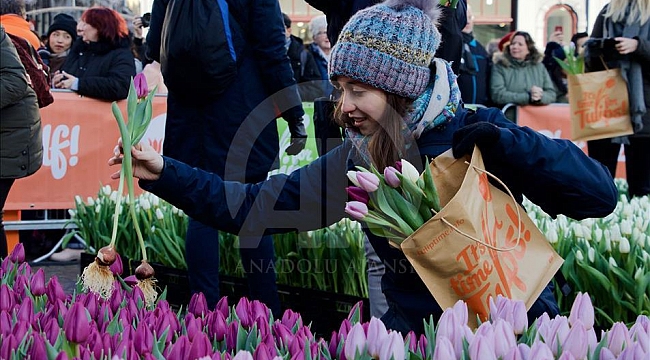 Hollanda'da "Ulusal Lale Günü" etkinliği
