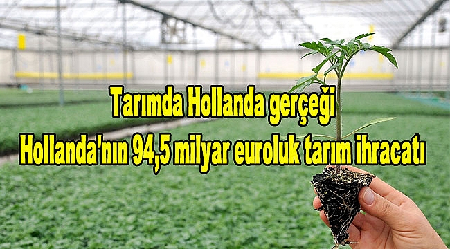 Tarımda Hollanda gerçeği-Hollanda tarım ürünü ihracatında yeni rekor kırdı