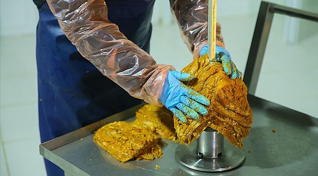 Avrupa'ya balık döner ihraç edilecek