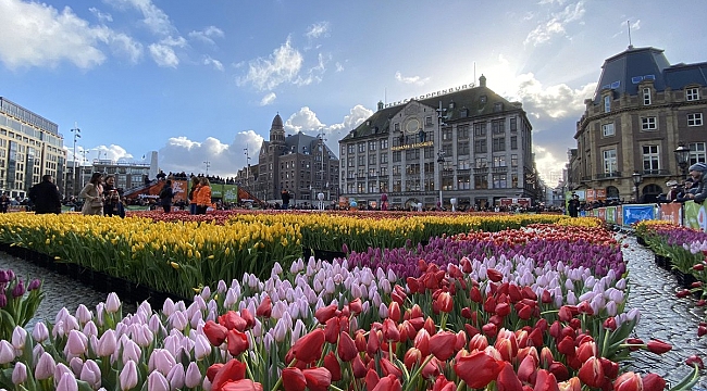 ANLAŞILMAZ HOLLANDA