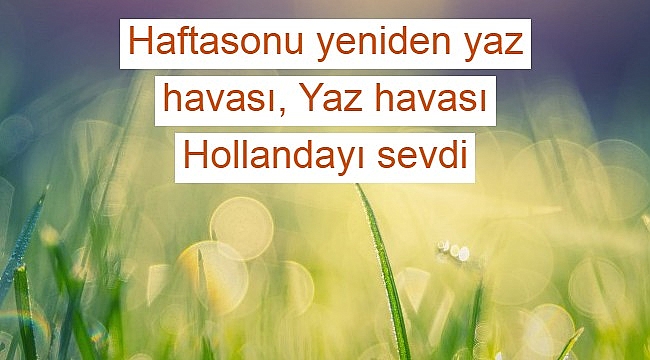 Haftasonu yeniden yaz havası, Yaz havası Hollandayı sevdi