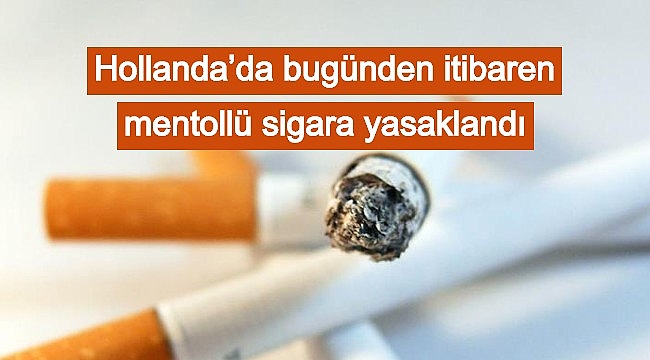 Hollanda'da bugünden itibaren mentollü sigara yasaklandı