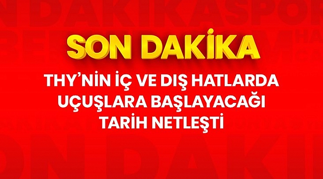 Türk Hava Yolları iç hat seferlerine 4 Haziran'da dış hat seferlerine de 10 Haziran'da başlayacak