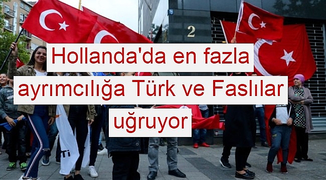 Hollanda'da en fazla ayrımcılığa Türk ve Faslılar uğruyor