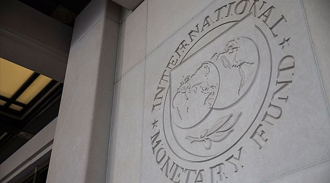 IMF: Hollanda ekonomisi bu yıl yüzde 7,7 küçülecek