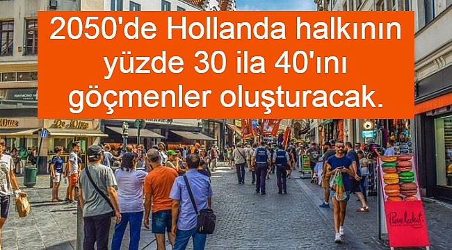 2050'de Hollanda halkının yüzde 30 ila 40'ını göçmenler oluşturacak