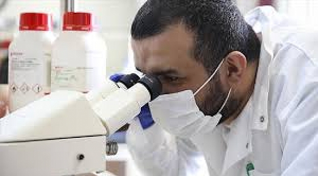 Türk bilim insanları kanserle savaşacak "uyuyan hücrelerin" şifrelerini keşfetti