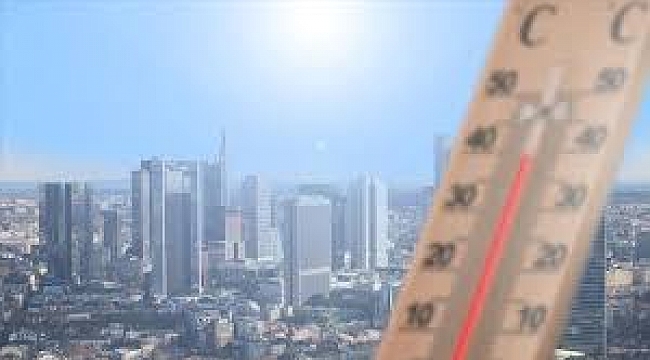 Hollanda sıcak hava dalgasının etkisinde (Hollanda'da sıcaklık rekoru )