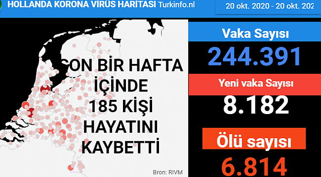 Hollanda'da son 24 saatte 8 bin 182 kişiye Kovid-19 hastalık tanısı konuldu