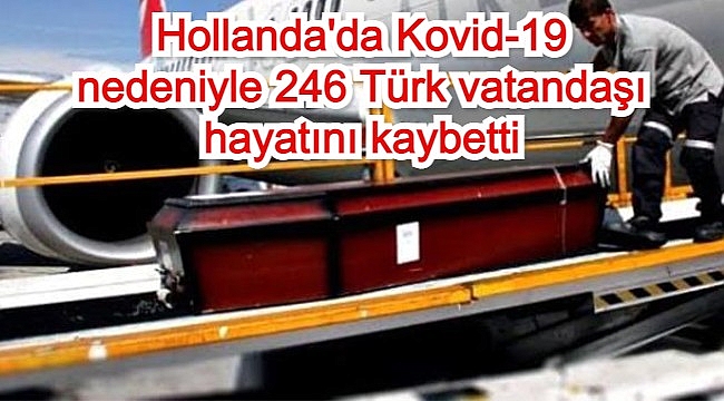 Hollanda'da Kovid-19 nedeniyle 246 Türk vatandaşı hayatını kaybetti