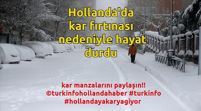 Hollanda'da kar fırtınası nedeniyle hayat durdu