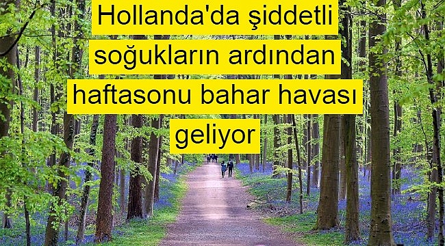 Hollanda'da şiddetli soğukların ardından haftasonu bahar havası geliyor