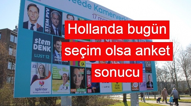 Hollanda bugün seçim olsa anket sonucu: En az 5 partiden oluşacak koalisyon