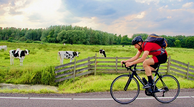 Hollanda'da Elektrikli Bisiklet Satışlarında rekor Artş