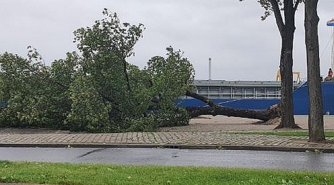 Hollanda'da fırtına uyarısı! Turuncu alarm verildi