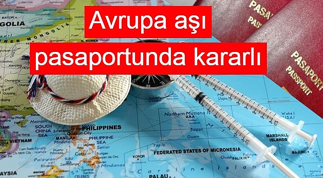 Hollanda yarın toplu sandık başına gidiyor