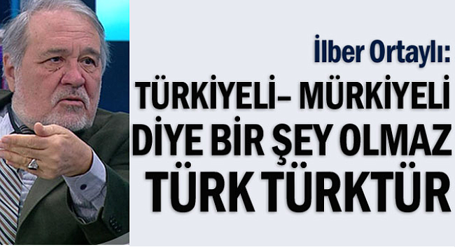 Türk mü, 'Türkiyeli' mi? Türk mü, 'Türk kökenli Hollandalı' mı?