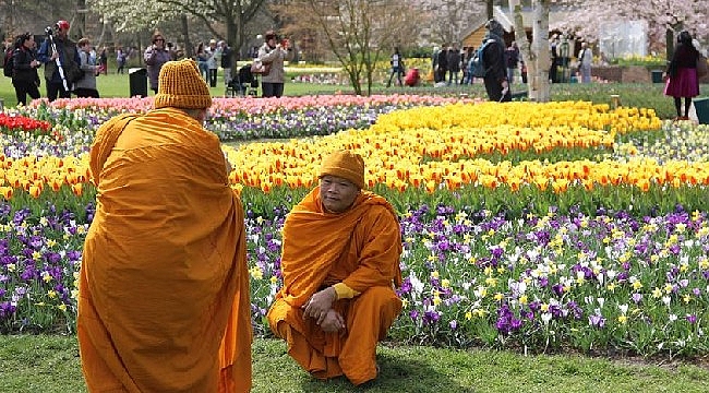 Hollanda Keukenhof (Lale) bahçeleri kapilarini negatif testi olan ziyaretcilere açtı