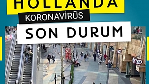 Hollanda Günlük Koronavirüs Tablosu, vaka ve vefat sayısı