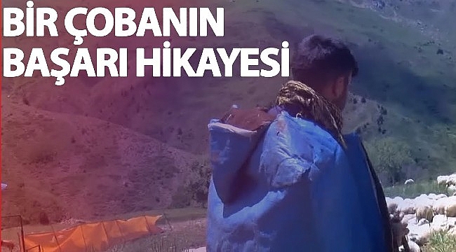 Genç çoban Mahir Hollanda'da günün konusu oldu