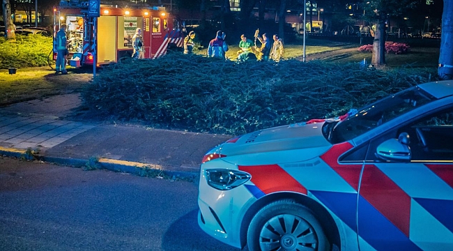 Rotterdam'da çifte cinayet: 2 ölü, 1 yaralı 