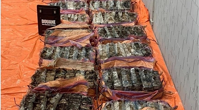 Hollanda'nın Rotterdam Limanında 1400 kilogram kokain ele geçirildi