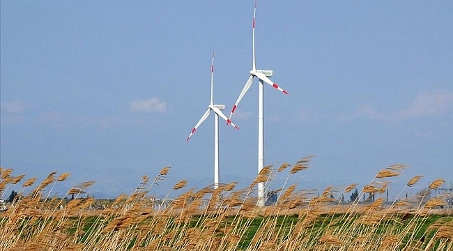Avrupa'nın enerji krizi için yeşil çözüm ihtiyacı