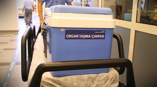 Hollanda'da 4,8 milyon kişi Organ Bağışı için onay Verdi