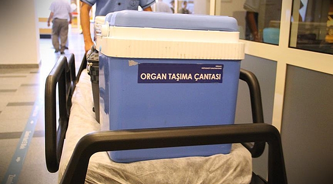 Hollanda’da 4,8 milyon kişi Organ Bağışı için onay Verdi