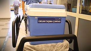 Hollanda’da 4,8 milyon kişi Organ Bağışı için onay Verdi