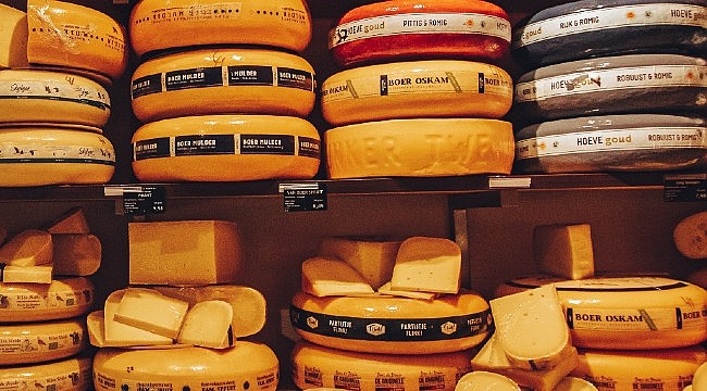 Hollanda, Avrupa'nın en büyük dördüncü peynir ve tereyağı üretici
