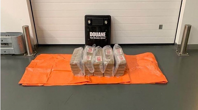 Douane vindt 70 kilo cocaïne tussen bananen en avocado's