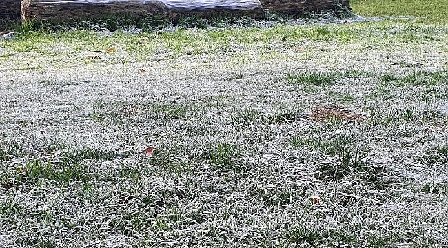 Hollanda'da mevsimin en soğuk gecesini yaşanıyor!