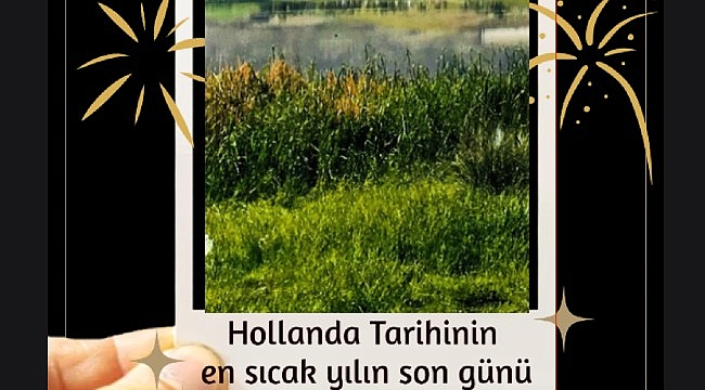 Hollanda Tarihinin en sıcak yılın son günü