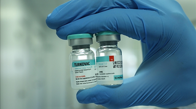Turkse COVID-vaccin "Turkovac" goedgekeurd, Turkije start massaproductie