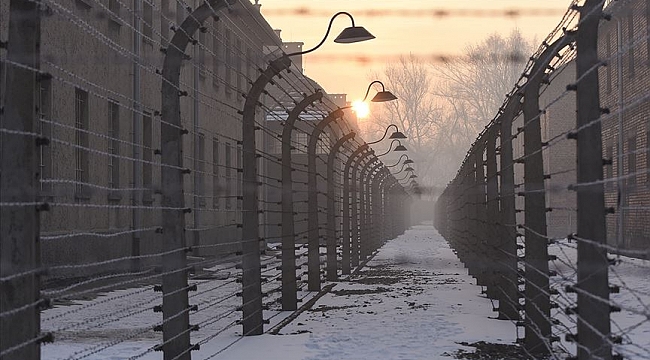 Auschwitz toplama kampında nazi selamı veren Hollandalı (29) tutuklandı